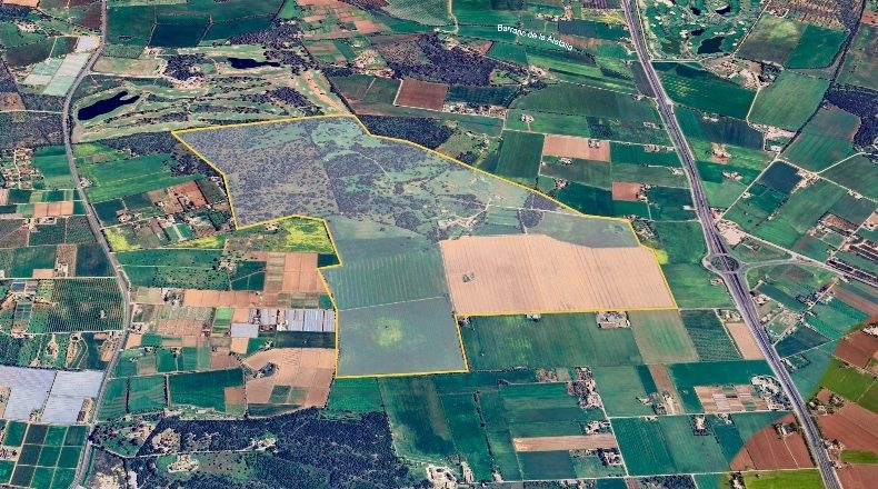 Islas Baleares - Palma - 1280000m2