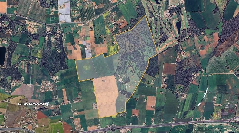 Islas Baleares - Palma - 1280000m2