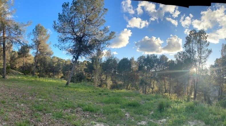 Alicante - Алькой - 6400m2