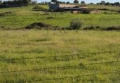 Rural estate for sale on Aldehuela del Jerte, ref: TR232698 photo