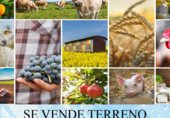 Terreny no urbanitzable en venda a la 1, Villamantilla, ref.: TR108247 foto