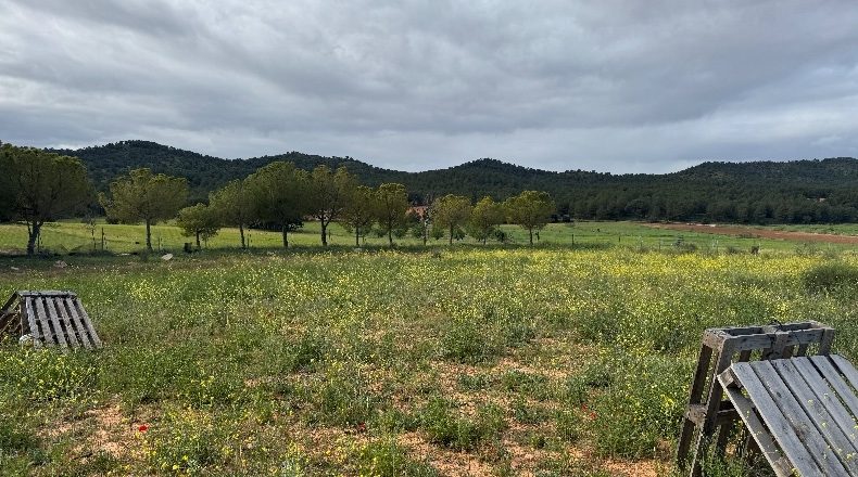 Albacete - Liétor - 12500m2