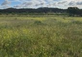 Загородный дом с участком на продажу в городе Liétor Фото
