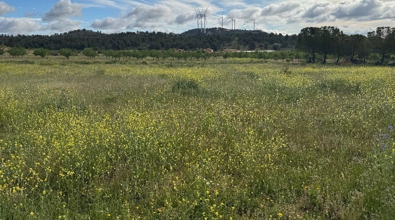 Albacete - Liétor - 12500m2