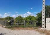 Non-developable land for sale on camino portes de ferro, Oliva, ref: TR232742 photo