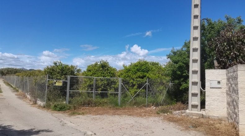 Valencia - Oliva - 3800m2