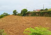 Terreno no urbanizable en venta en la Calle Placeres, Las Llanadas, ref: TR232743 foto