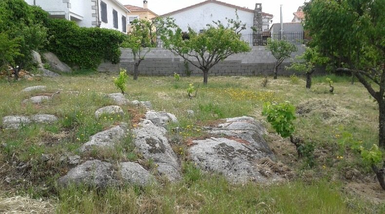 Comunidad de Madrid - Cenicientos - 500m2