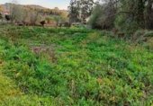 Non-developable land for sale on 15, Caldas de Reis, ref: TR232909 photo