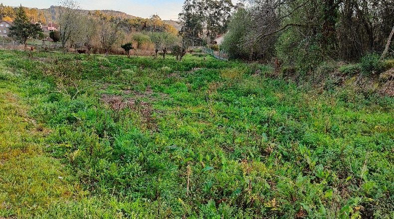 Pontevedra - Caldas de Reis - 3840m2