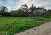 Non-developable land for sale on 15, Caldas de Reis, ref: TR232909 photo