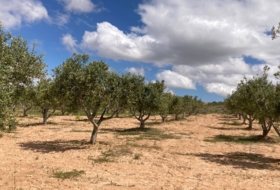 Mezalocha 4000&nbsp;m² 
