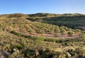 Mezalocha 4000&nbsp;m² 