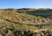 Non-developable land for sale on Cno. Mezalocha - Muel, Mezalocha, ref: TR232975 photo