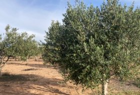 Mezalocha 4000&nbsp;m² 