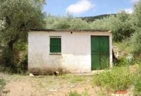 Foto 15