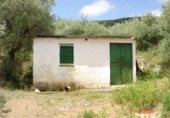 Casa de camp amb terreny en venda a la A-433, Guadalcanal, ref.: TR232979 foto