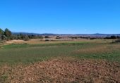 Non-developable land for sale on poligono 518, Casillas de Ranera, ref: TR232803 photo