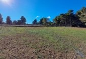 Non-developable land for sale on poligono 518, Casillas de Ranera, ref: TR232803 photo