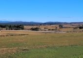 Non-developable land for sale on poligono 518, Casillas de Ranera, ref: TR232803 photo