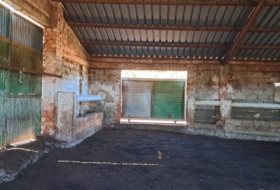 Foto 8