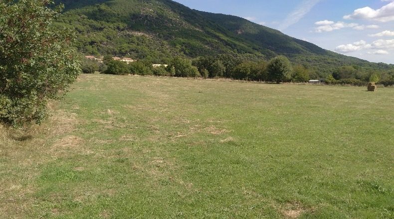 Ávila - La Adrada - 16000m2