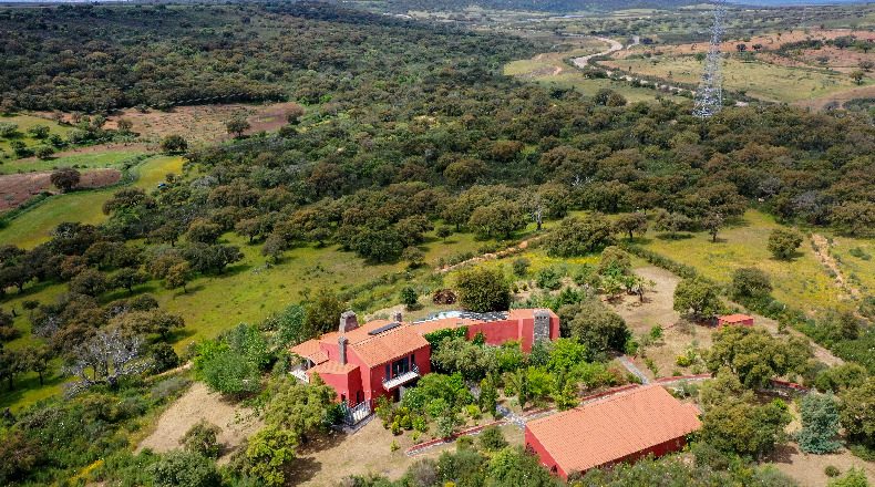 Cáceres - Jaraicejo - 140000m2