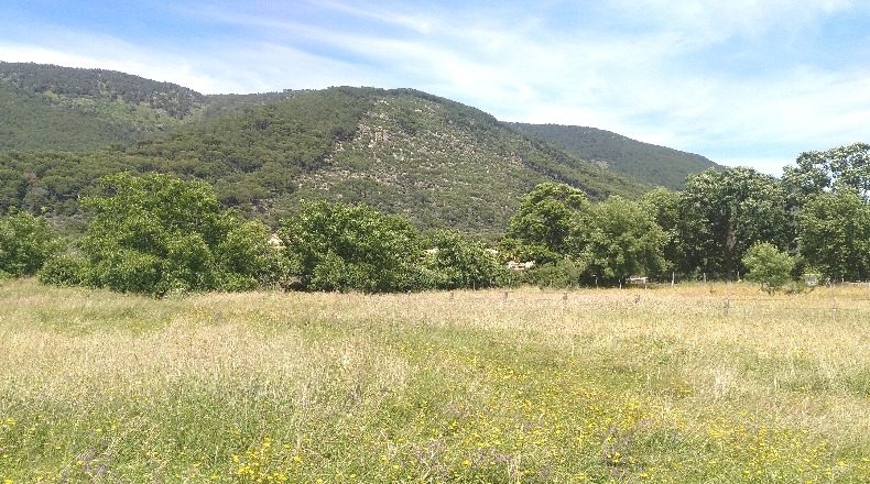 Ávila - La Adrada - 17687m2