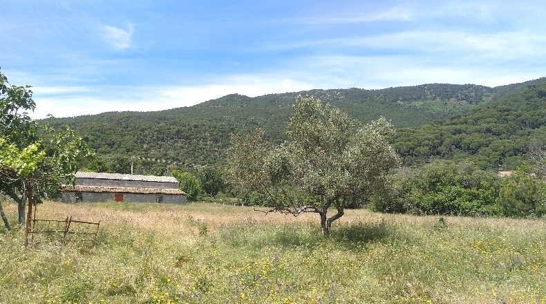 Ávila - La Adrada - 17687m2