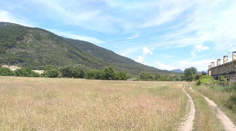Ávila - La Adrada - 17687m2
