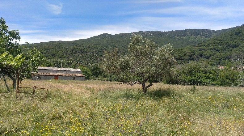 Ávila - La Adrada - 17687m2