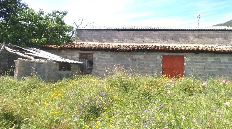 Ávila - La Adrada - 17687m2