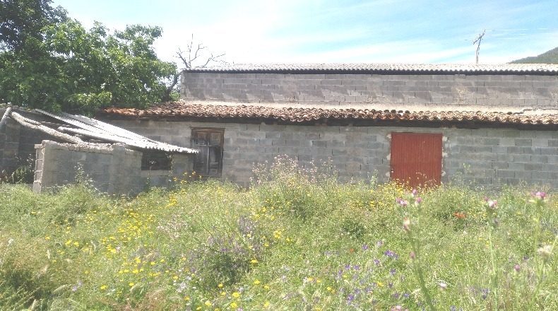 Ávila - La Adrada - 17687m2