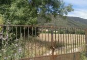 Nave industrial en venta en la Calle de Calderón de la Barca, La Adrada, ref: TR233071 foto