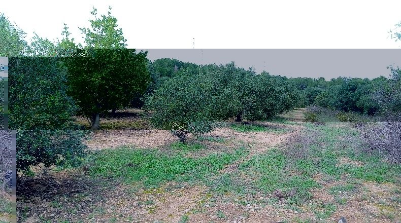 Tarragona - Calafell - 17203m2