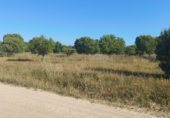 Non-developable land for sale on Paseo Marismeño, Almonte, ref: TR233058 photo