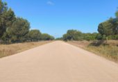 Non-developable land for sale on Paseo Marismeño, Almonte, ref: TR233058 photo