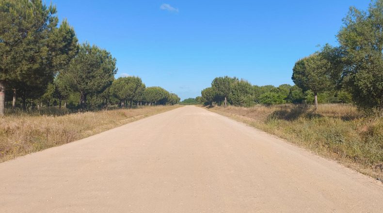 Huelva - Almonte - 1000000m2