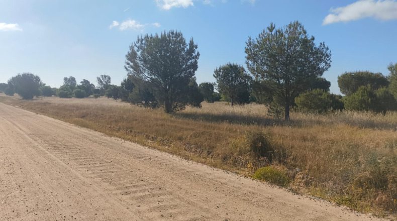 Huelva - Almonte - 1000000m2