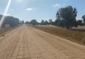 Non-developable land for sale on Paseo Marismeño, Almonte, ref: TR233058 photo