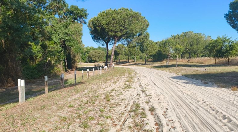 Huelva - Almonte - 1000000m2