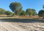 Non-developable land for sale on Paseo Marismeño, Almonte, ref: TR233058 photo