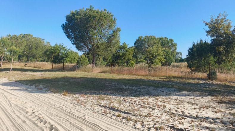 Huelva - Almonte - 1000000m2