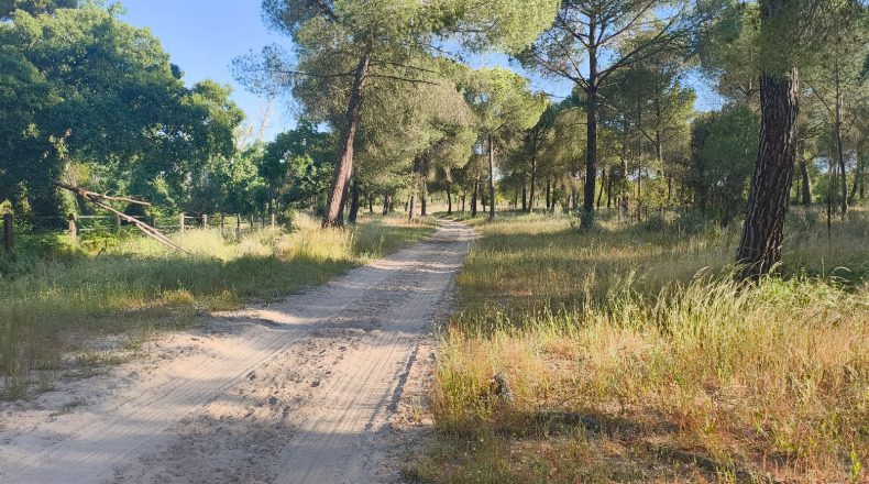 Huelva - Almonte - 1000000m2