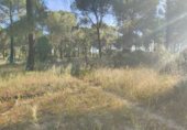 Non-developable land for sale on Paseo Marismeño, Almonte, ref: TR233058 photo