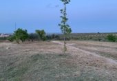 Non-developable land for sale on Carretera Camino Bajo de Toledo, Olías del Rey, ref: TR233027 photo