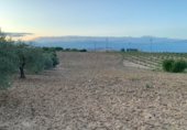Non-developable land for sale on Carretera Camino Bajo de Toledo, Olías del Rey, ref: TR233027 photo