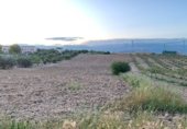 Non-developable land for sale on Carretera Camino Bajo de Toledo, Olías del Rey, ref: TR233027 photo