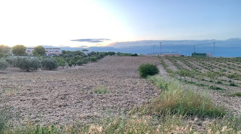 Toledo - Olías del Rey - 8612m2