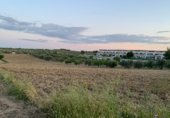 Non-developable land for sale on Carretera Camino Bajo de Toledo, Olías del Rey, ref: TR233027 photo